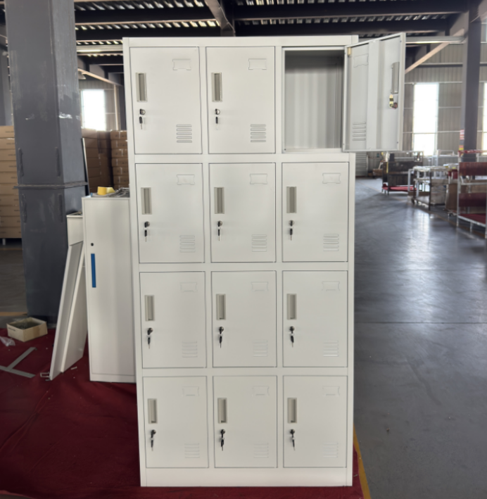 12 Door Steel Storage Locker Cabinet for Staff Changing Rooms and Workplace Storage
